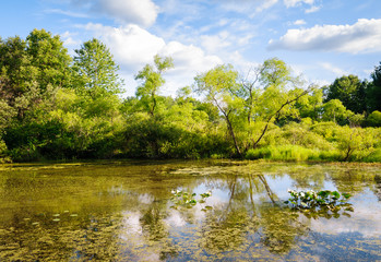 Jamestown Audubon Center and Sanctuary © Zack Frank