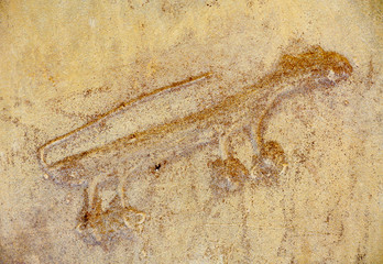 Chaco Culture National Historical Park