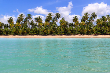 Maragogi beach horizon at Alagoas, Brazil