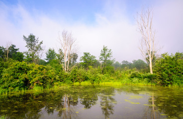 Fototapeta na wymiar Jamestown Audubon Center and Sanctuary