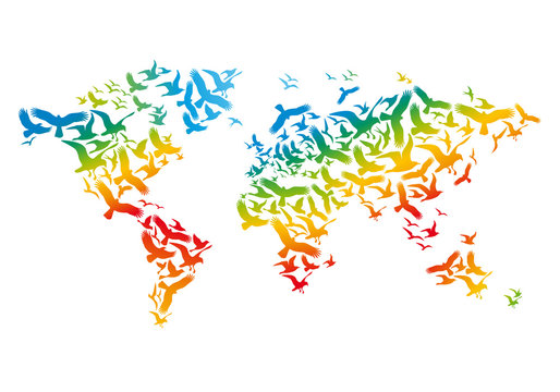 World map with flying birds, vector