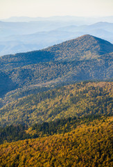 Mount Mitchell State Park