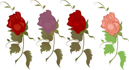 Vector illustration of a set of differently colored roses on a white background.