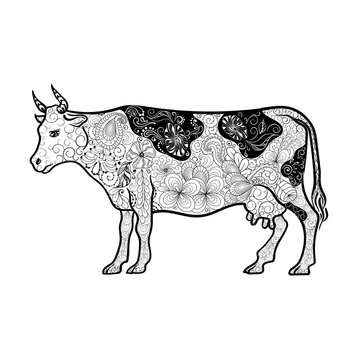 Cow doodle