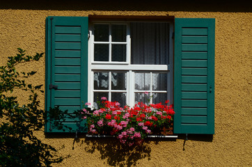  window with red geranium and green shutters