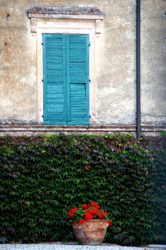 Finestra e vaso di gerani nel giardino di una villa / Window and potted geraniums in the garden of a villa