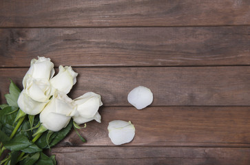 beautiful fresh roses on wooden background