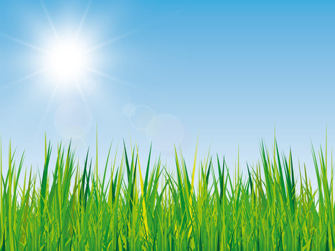 Frühling Hintergrund mit Gras und Sonne