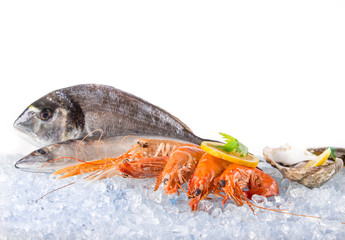 Fresh seafood on crushed ice.