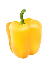 Yellow bell pepper, sweet pepper. Isolated on white. Vector illustration