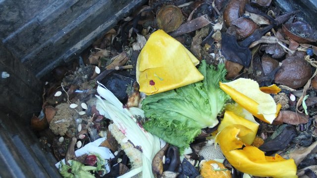 Fruits and vegetables decompose in a backyard compost bin.