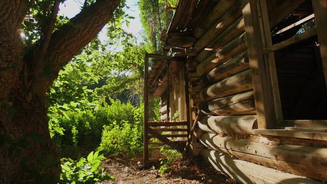 An abandoned decaying cabin sits in a overgrown forest in rural Nevada.