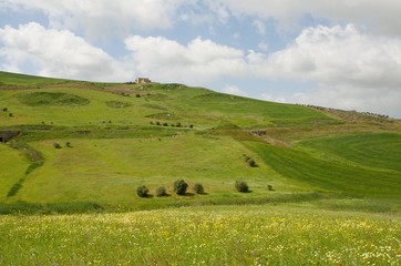 Hilly agricultural landscape near town Ribera, Sicily, Italy