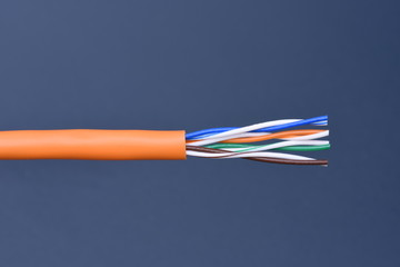 Closeup of stripped computer network cable