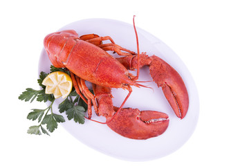 Cooked lobster