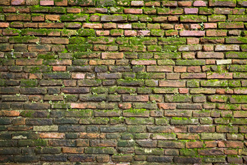 Old brick wall overgrowed with moss