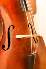 Contrabass wooden instrument details