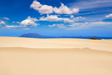 Fototapeta na wymiar Corralejo dunes Fuerteventura island desert