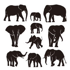 Naklejka premium Elephant silhouette