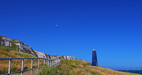 Samphire Hoe Tower with Seagull flying over