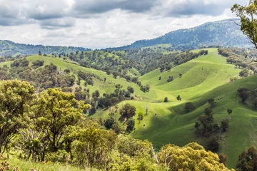 Fotobehang Landschapsmening van glooiende heuvels in de Upper Hunter Valley, NSW, Australië © lizcoughlan