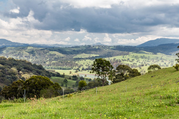 Fototapeta na wymiar View of rolling hills in Upper Hunter Valley, NSW, Australia