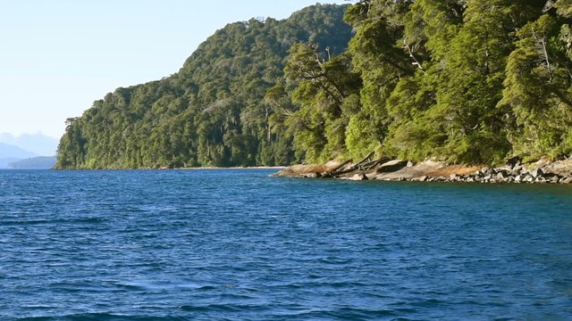 APROACHING A FOREST ISLAND