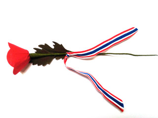 Poppy flower for the Thai Veterans Day