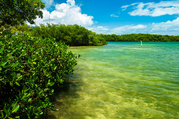 Florida Keys