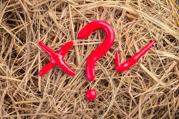 Right Or Wrong concept sign with question mark symbol