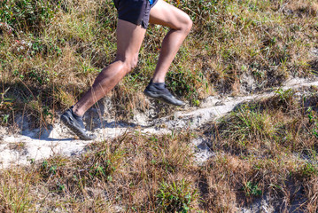 Closeup of runner's legs in nature trail running.