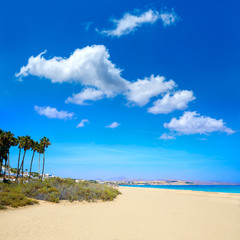 Costa Calma beach of Jandia Fuerteventura