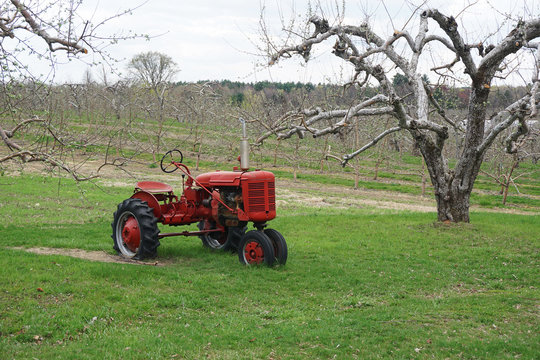 old tractor in spring orchard