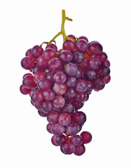 red grapes isolated on white background