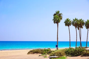 Poster  Costa Calma beach of Jandia Fuerteventura © lunamarina