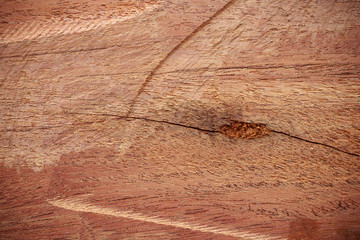 wood texture closeup background