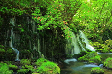 秋田県　夏の元滝伏流水