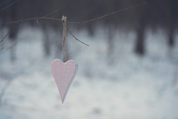 Heart shape hanging a branch