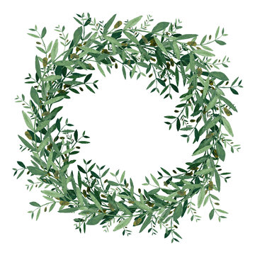 Watercolor olive wreath.