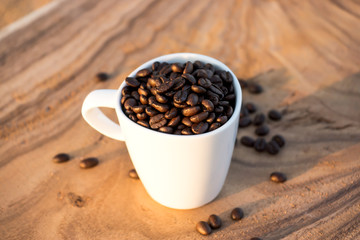 Roasted coffee beans in white cup on wood.