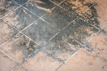Mildewed tiled floor