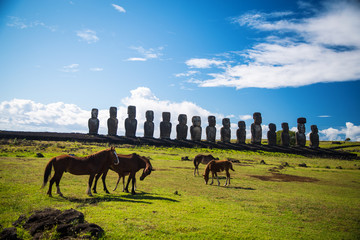 Wild horses against Ahu Tongariki.