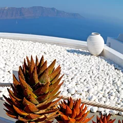 Poster  flowers  in architecture    europe cyclades santorini © lkpro
