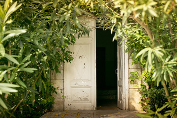 mysterious door in the botanical garden of Crimea