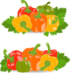 Peppers, set of yellow, red, green and orange peppers and parsley leaves, vector illustration on a transparent background