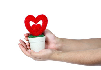 Hand holding  red valentine heart isolate on white