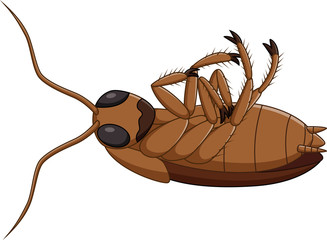 Cartoon dead cockroach 