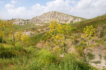 Hilly landscape near town Ribera, Sicily, Italy