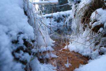 spring background, frost sun