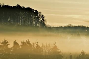 Nebelschwaden am frühen Morgen